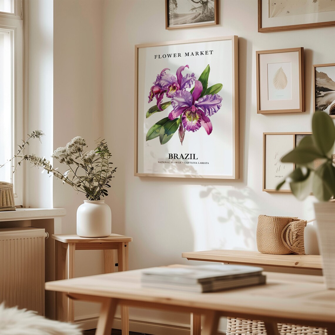 Cattleya Labiata Brazil National Flower Art Print - Image 2