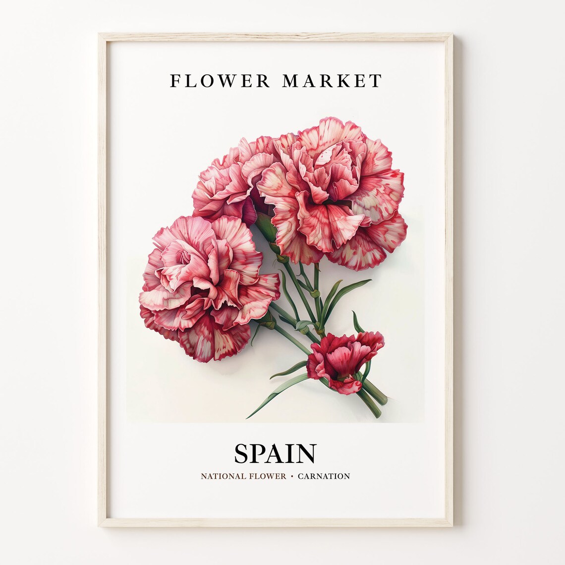 Spain Carnation 1960s Botanical Art Print
