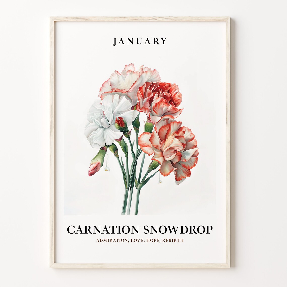 January Flower Art Print, Vintage 1960s Carnation Snowdrop