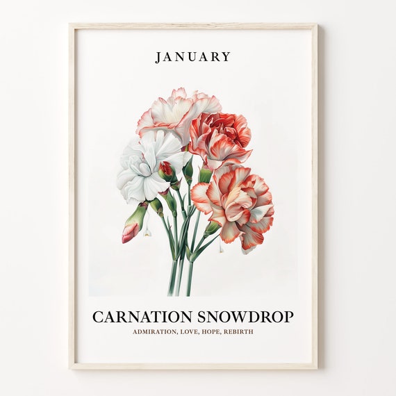January Flower Art Print, Vintage 1960s Carnation Snowdrop