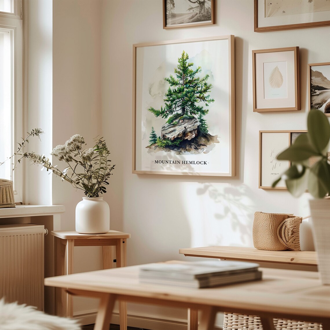 Mountain Hemlock Tree Art Print, Botanical Illustration - Image 2