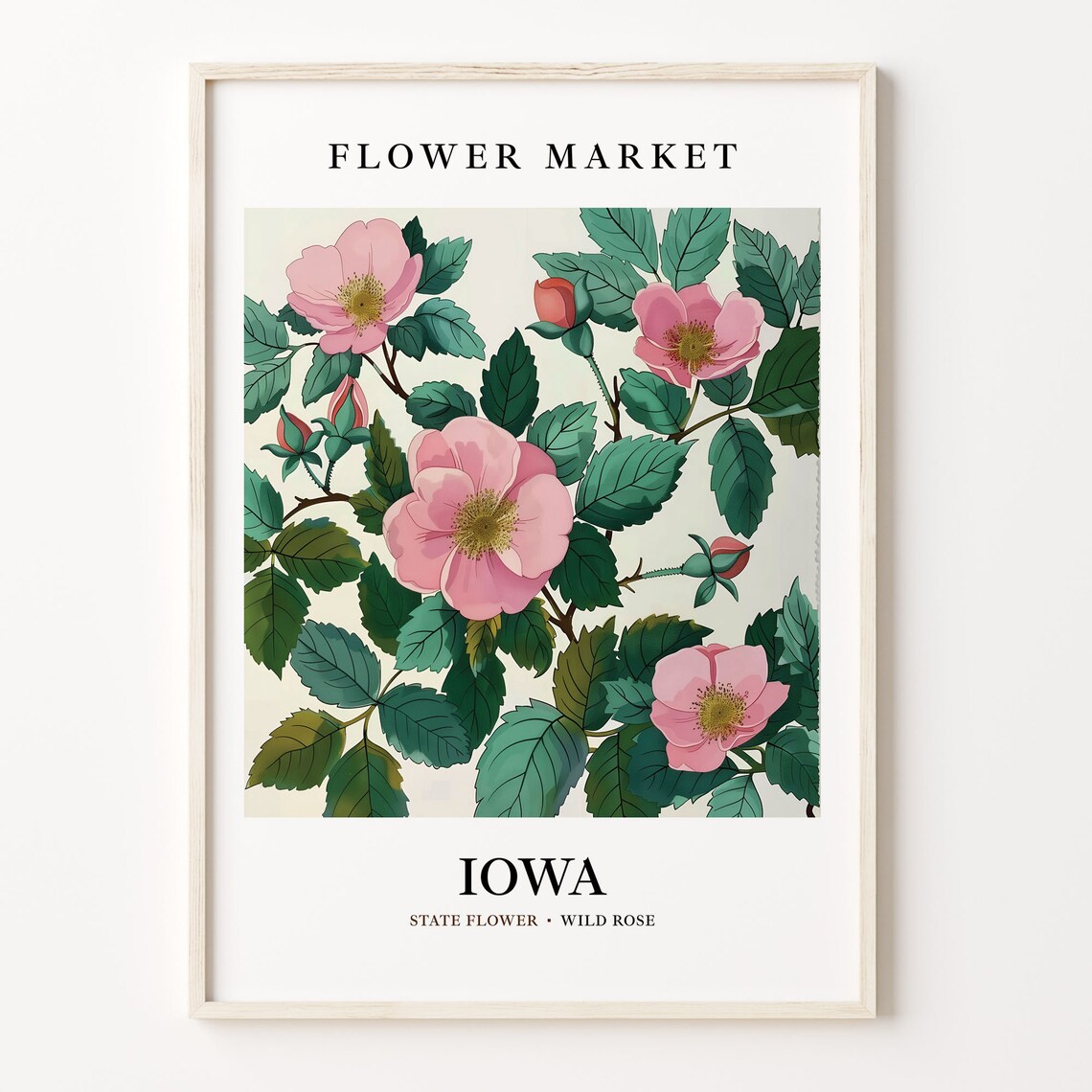 Iowa State Flower Art Print, Wild Rose Botanical
