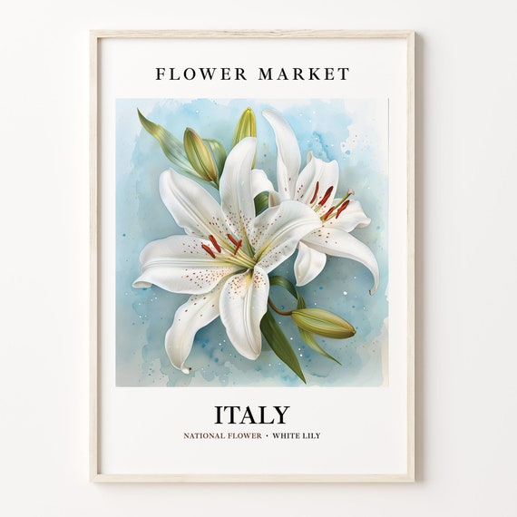 Italy Flower Market Vintage Travel Poster