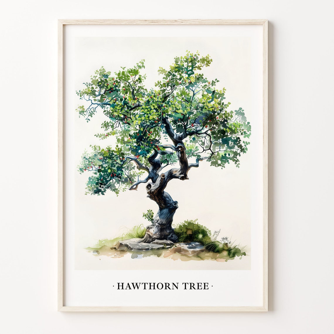 Hawthorn Tree Watercolor Botanical Berry Tree Minimalist Art Poster