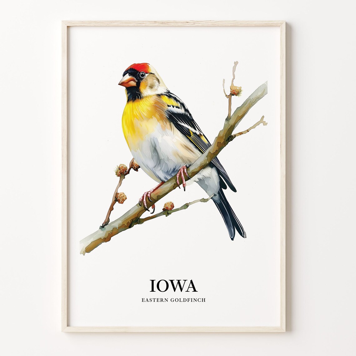 Eastern Goldfinch Iowa State Bird Watercolor Illustration Poster