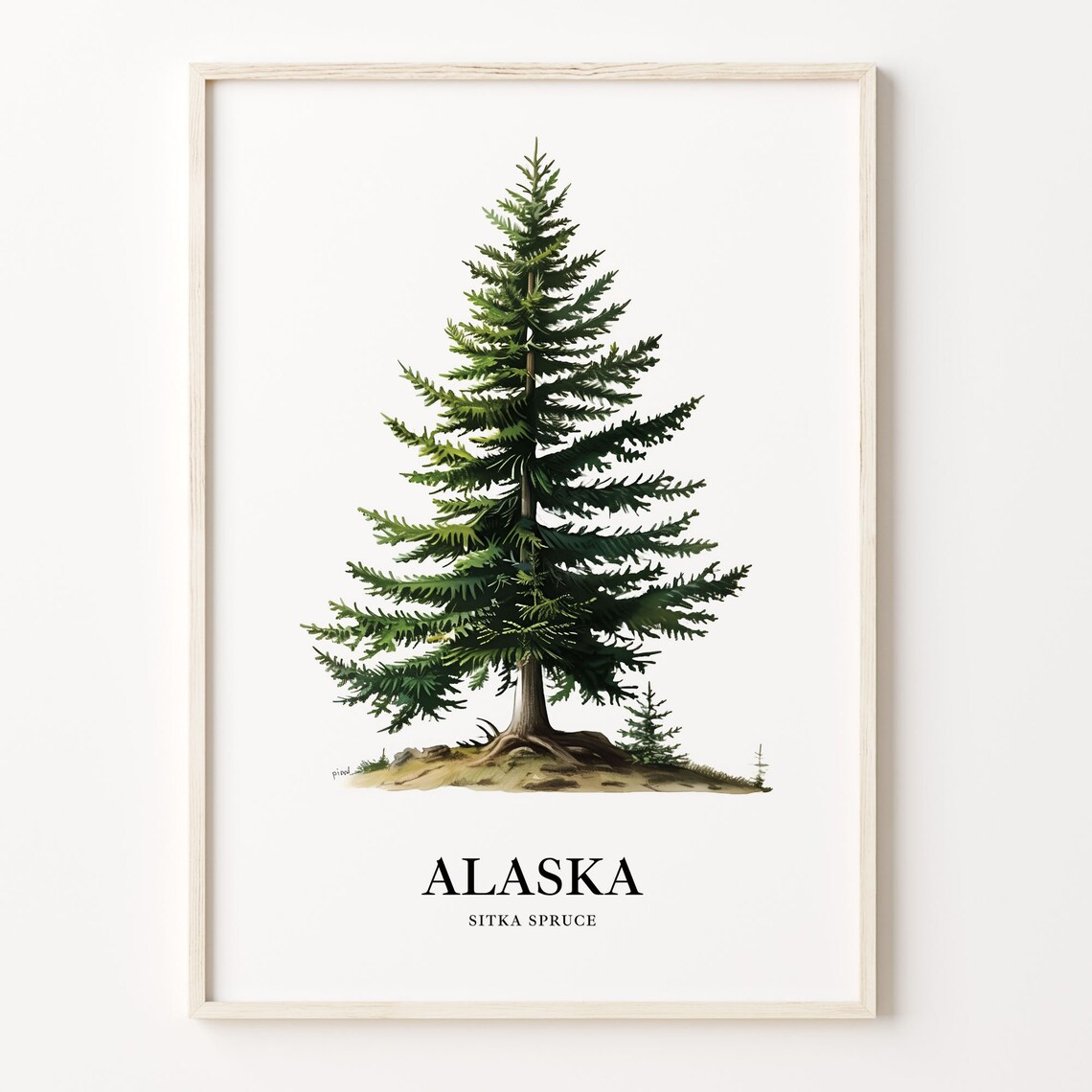 Alaska Sitka Spruce Tree Art Print, State Symbol