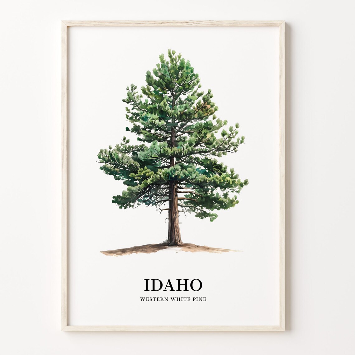 Idaho State Tree Botanical Illustration Wall Art Print