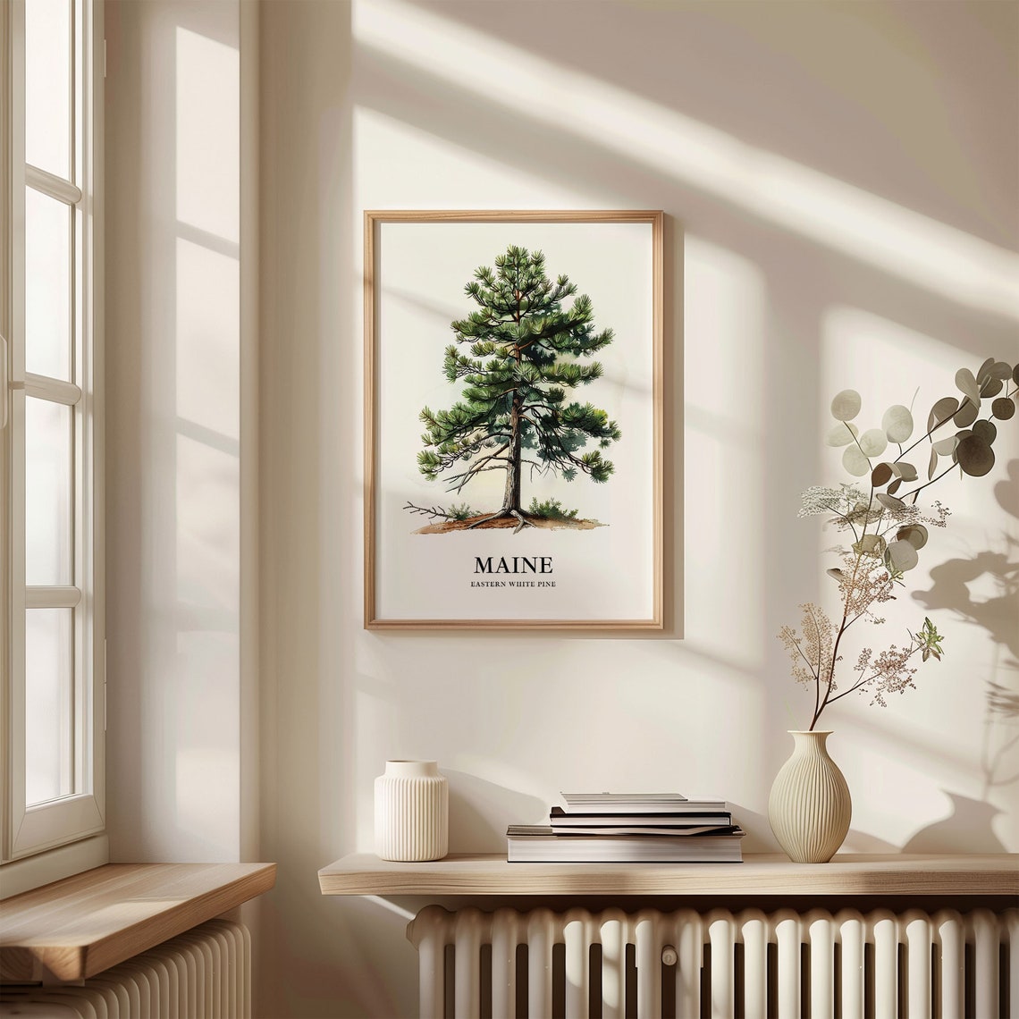 Maine Eastern White Pine State Tree Classic Botanical Art Poster - Image 3