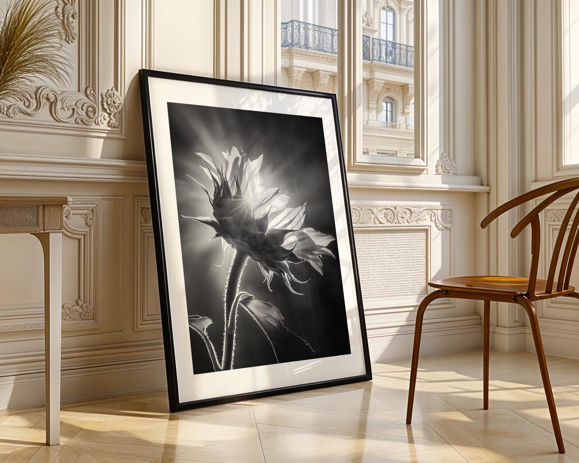 Backlit Sunflower in Black and White Dramatic Flower Photo Poster - Image 3