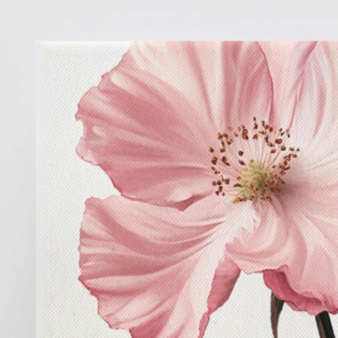 Pink Rose of Sharon Bloom and Bud Vintage Botanical Art Poster - Image 3