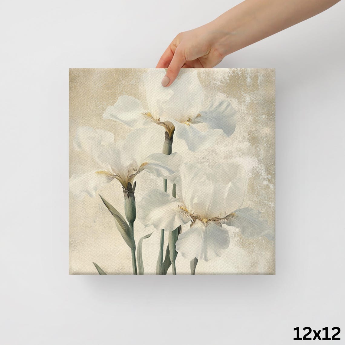 White Iris Blossoms Vintage Beige Background Botanical Art Poster - Image 2