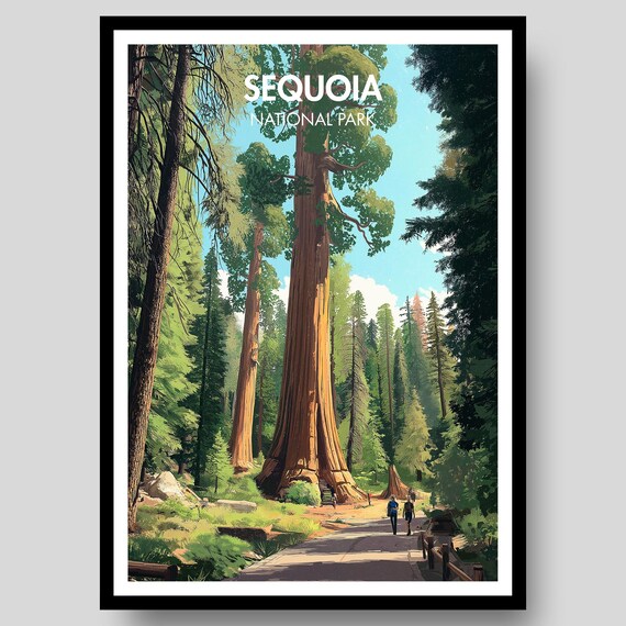 Sequoia National Park Towering Redwoods Forest Trail Poster Art