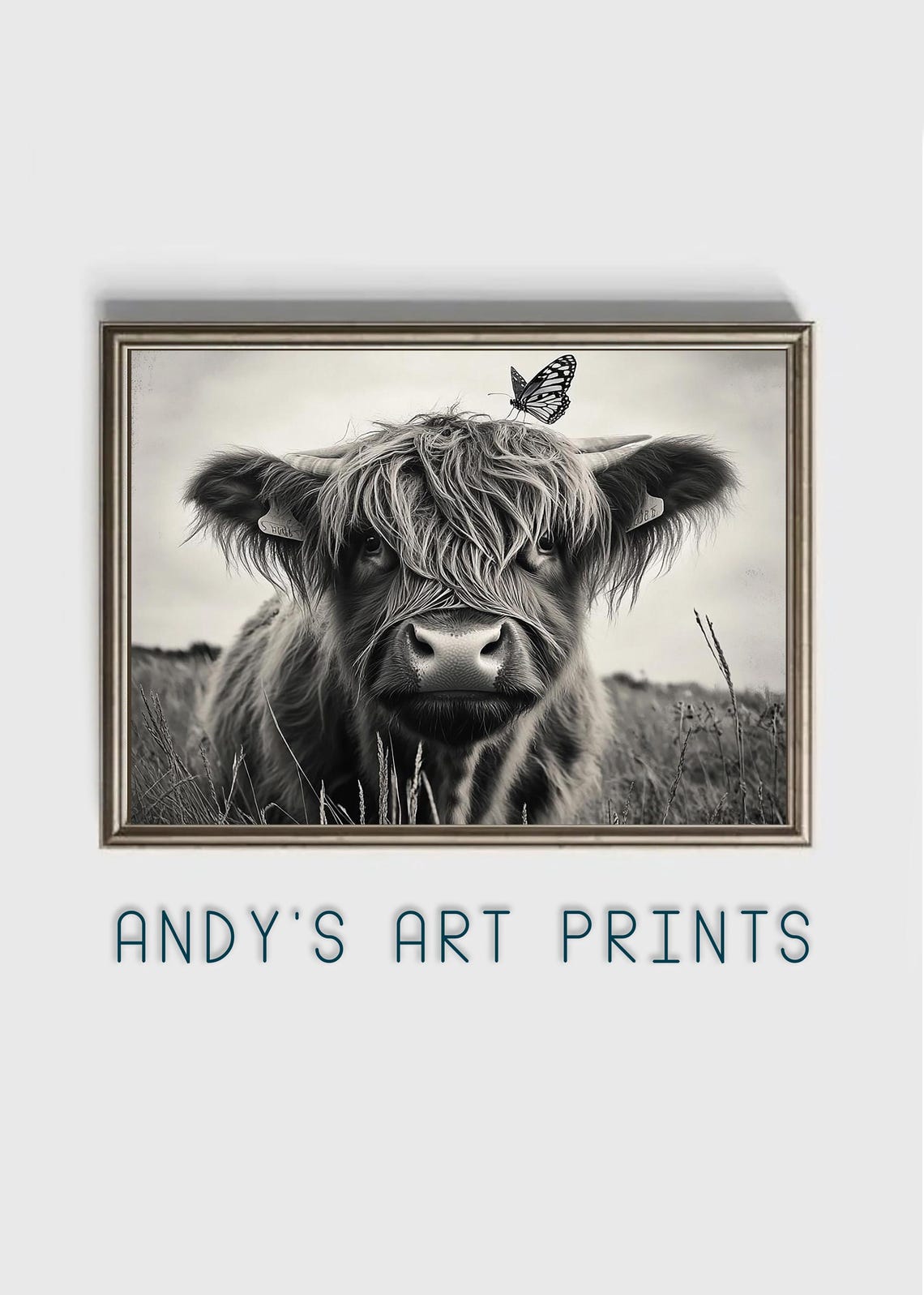 Shaggy Highland Cow With A Butterfly Perched On Its Head Poster