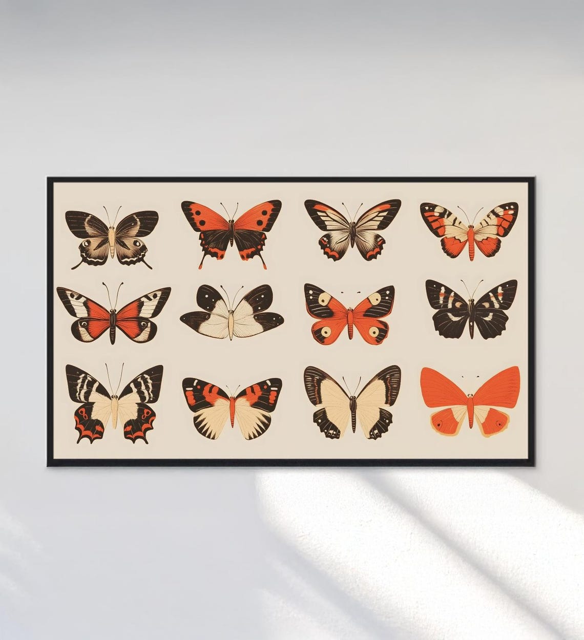 Vintage Butterfly Specimen Chart Orange Black Entomology Wall Art - Image 3
