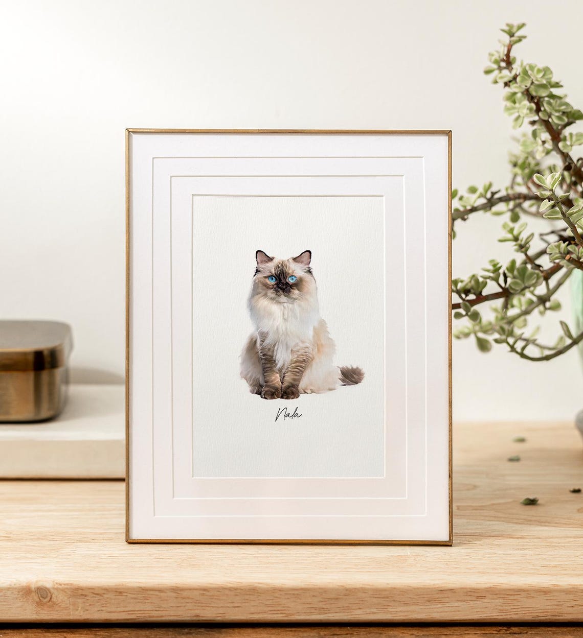 Custom Pet Portrait Personalized Sphynx Cat Name Wall Art Print Poster - Image 5