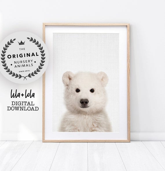 Baby Polar Bear Nursery Print, Peekaboo Animal Art
