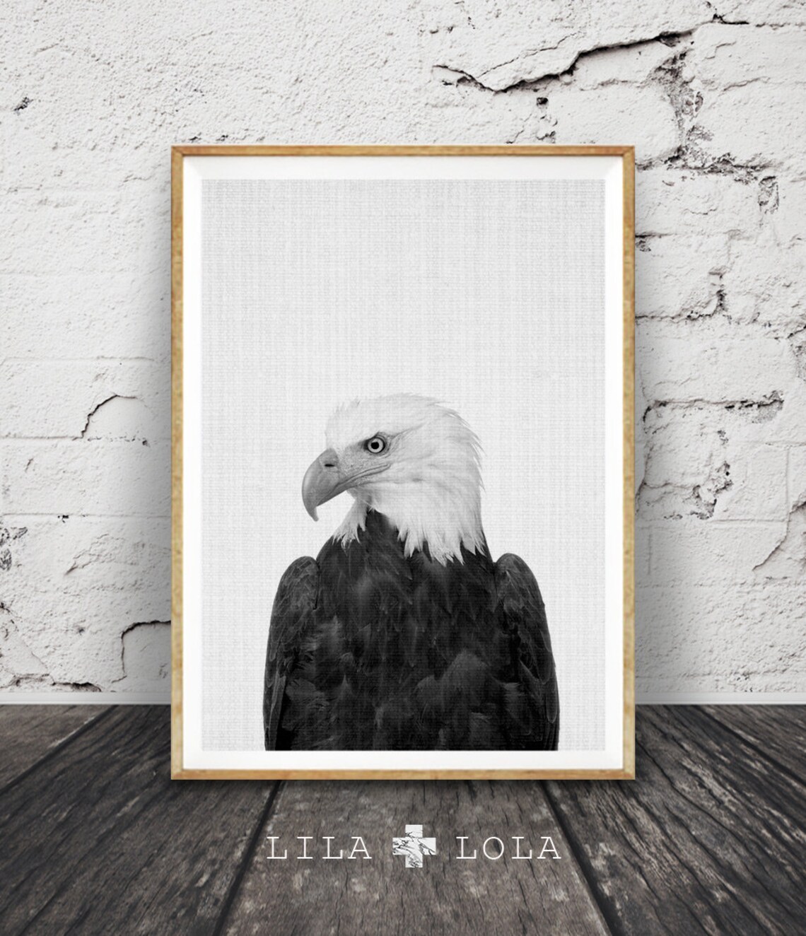Eagle Photography Art Print, Black And White Bird