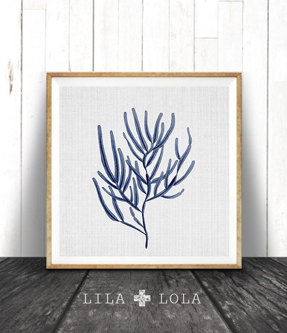 Indigo Coral Print, Coastal Seaweed Illustration