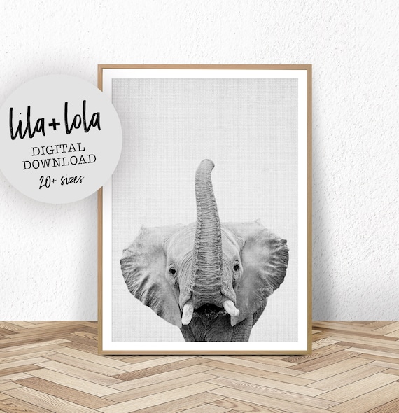 Baby Elephant Print, Safari Nursery Decor
