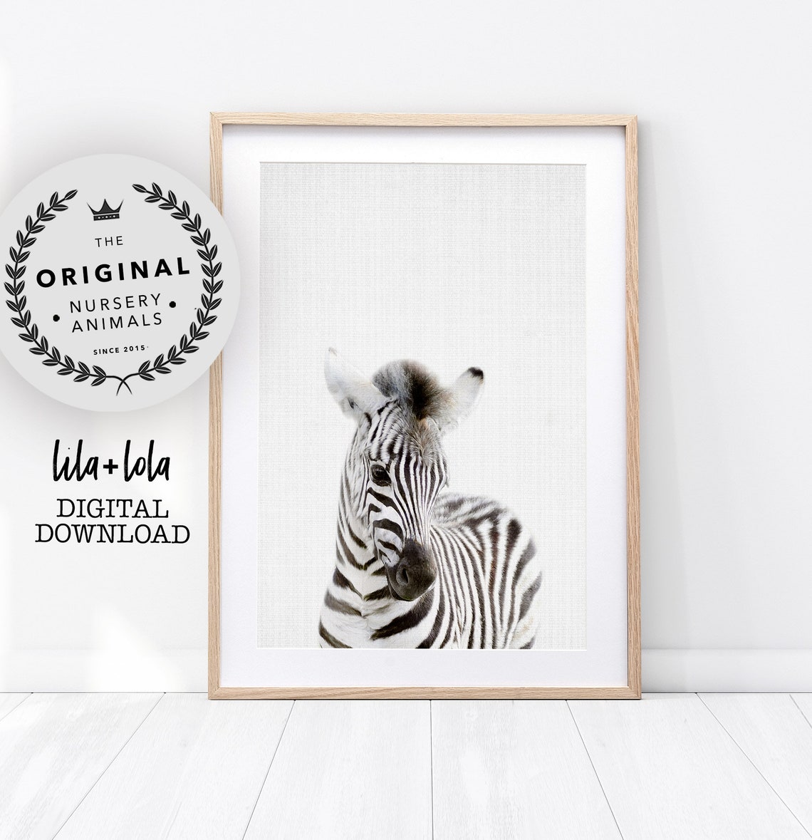 Baby Zebra Print, Safari Nursery Wall Art