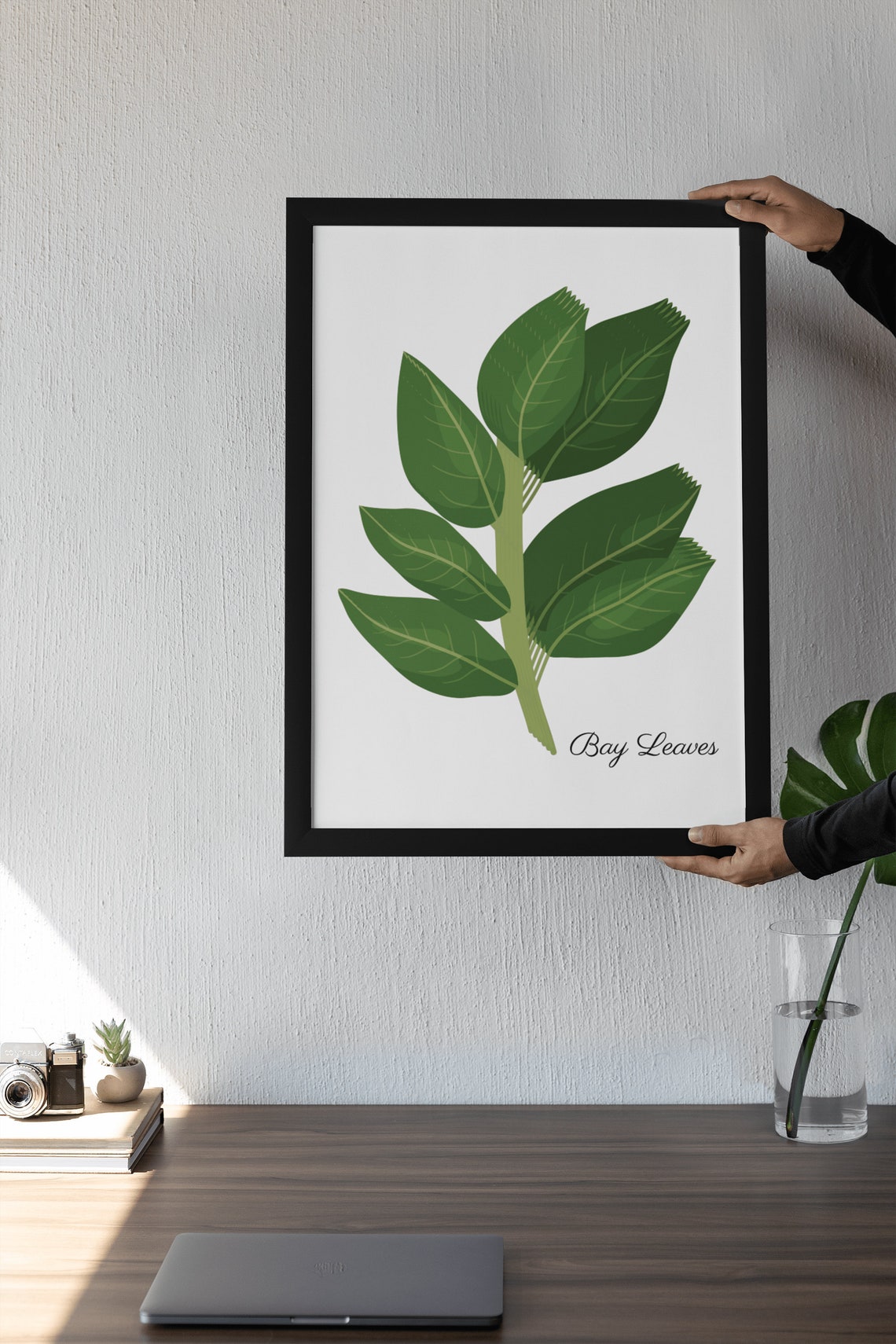 Bay Leaves Botanical Herb Kitchen Illustration Modern Green Poster - Image 3