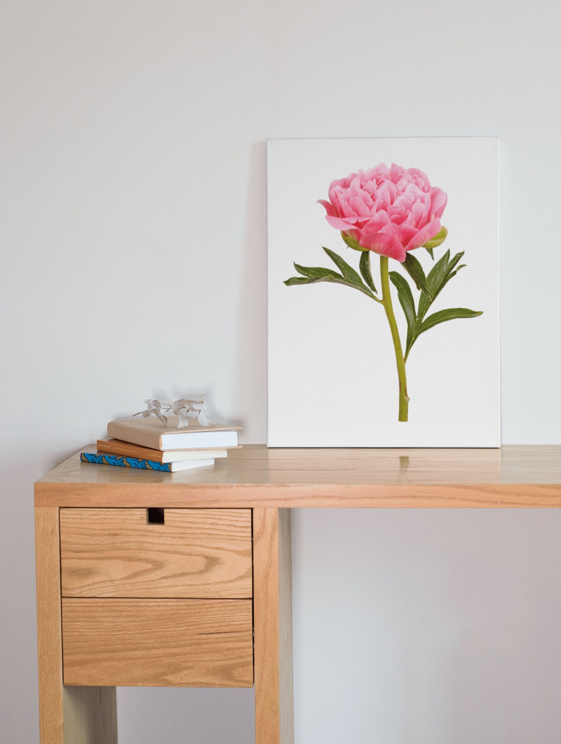Pink Peony Blossom Botanical Photo White Background Floral Poster - Image 8