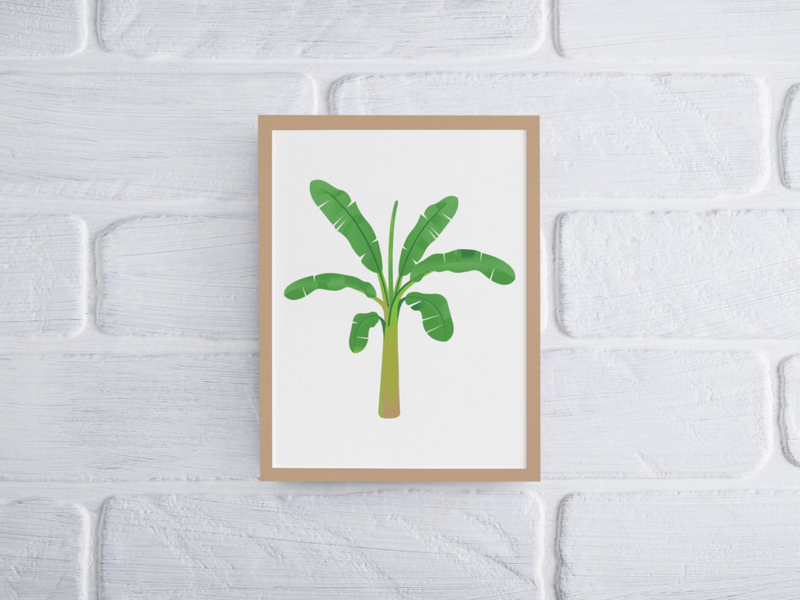 Banana Palm Tree Tropical Botanical Illustration Wall Decor Poster - Image 4