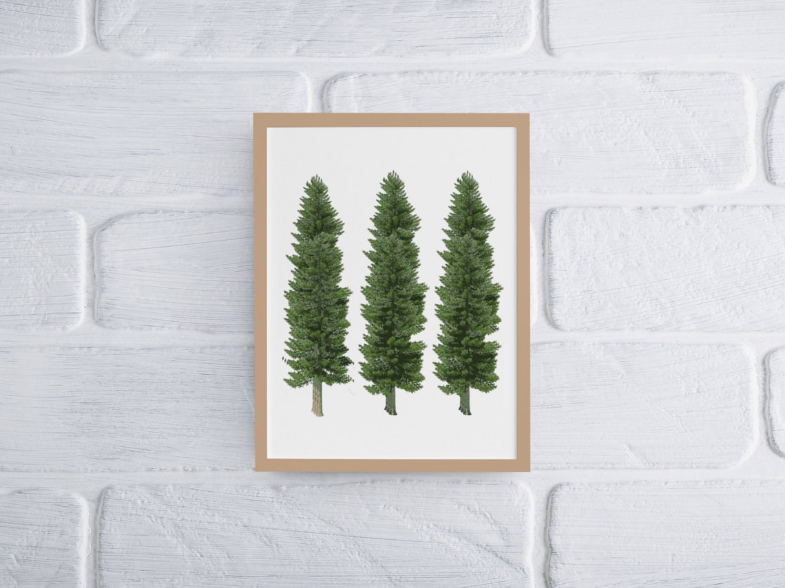 Pine Tree Print Woodland Nursery Decor Forest Nursery Wall Art - Image 7
