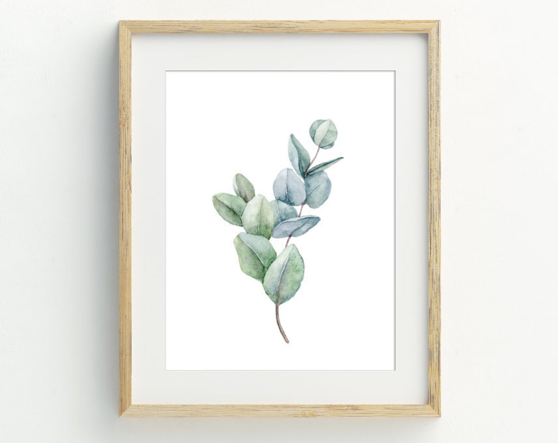 Eucalyptus Branch Watercolor Minimalist Botanical Green Leaf Poster