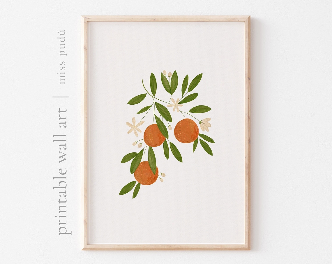 Hand Painted Oranges Branch Botanical Fruit Illustration Poster