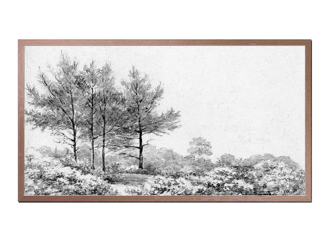 Vintage Tree Sketch Landscape Drawing