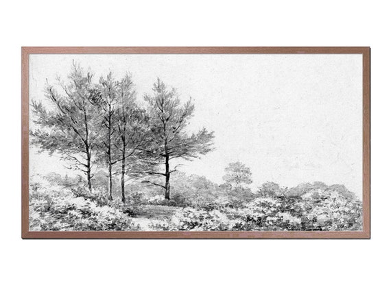 Vintage Tree Sketch Landscape Drawing
