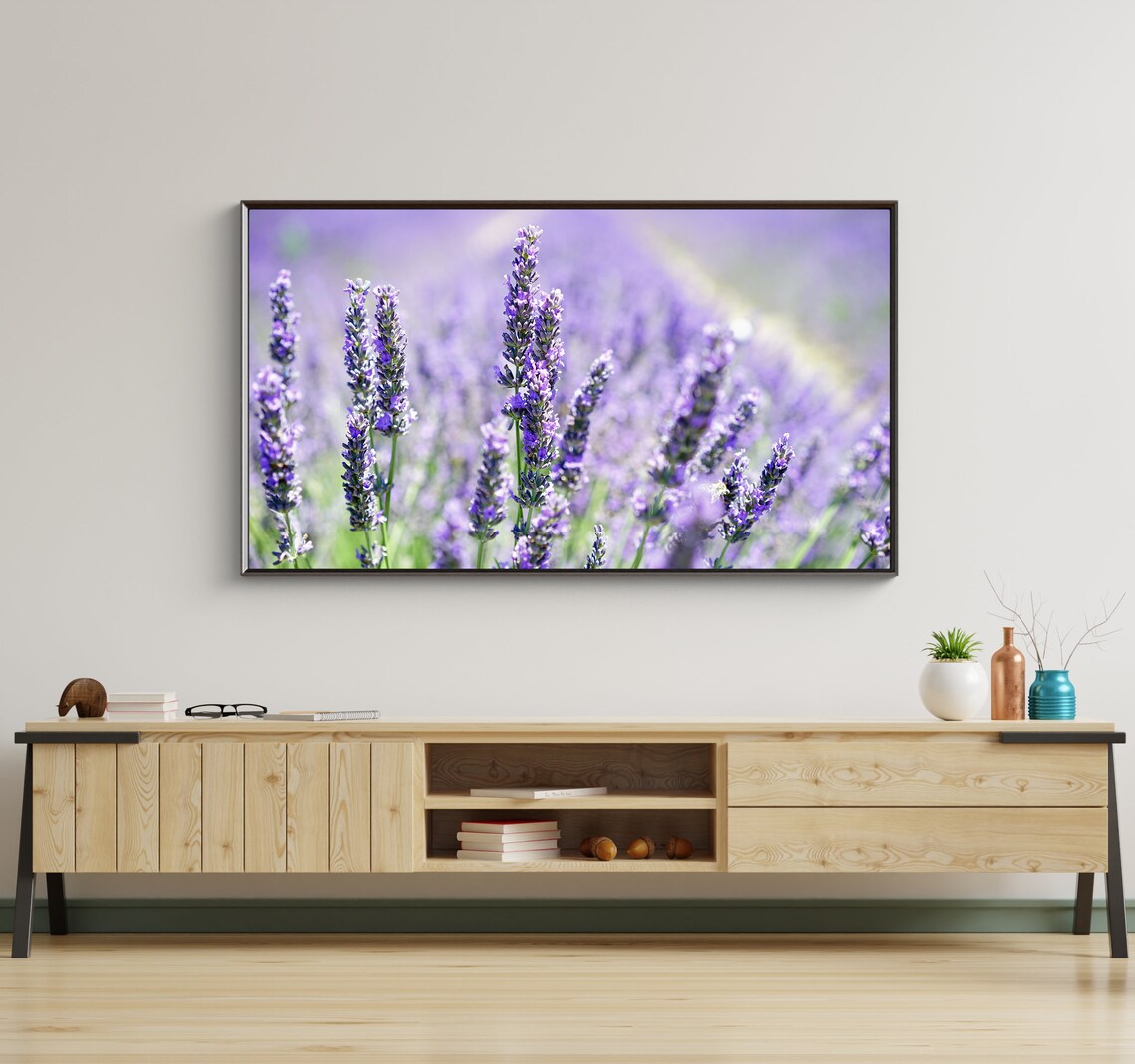 Purple Lavender Blooms Close Up Provence Summer Field Wall Art