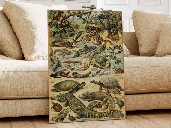 Adolphe Millot Reptiles Antique Natural History Illustration Poster