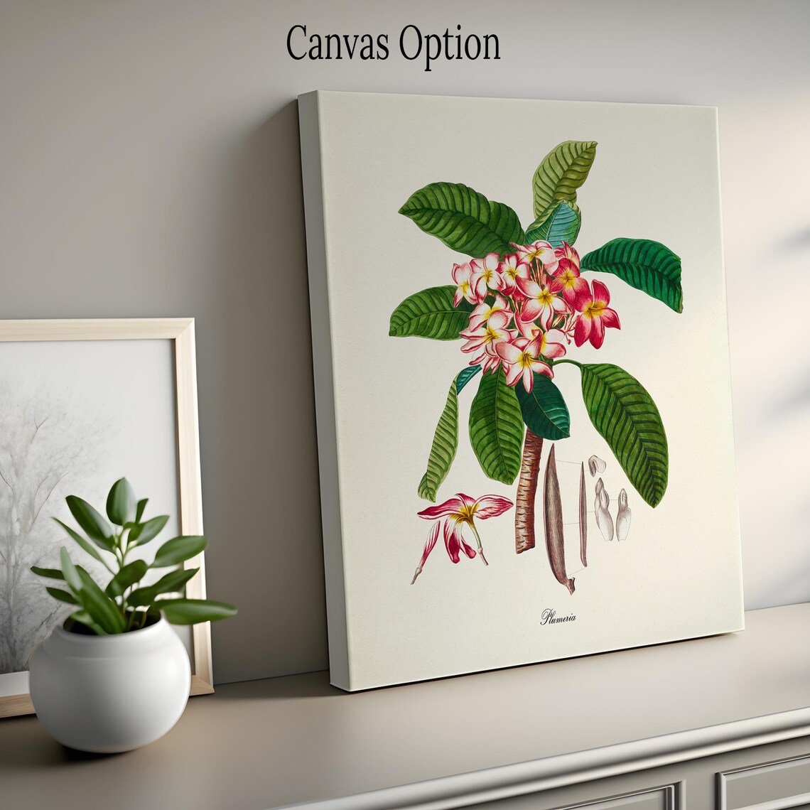 Plumeria Flower Botanical Art Print for Home Decor - Image 2