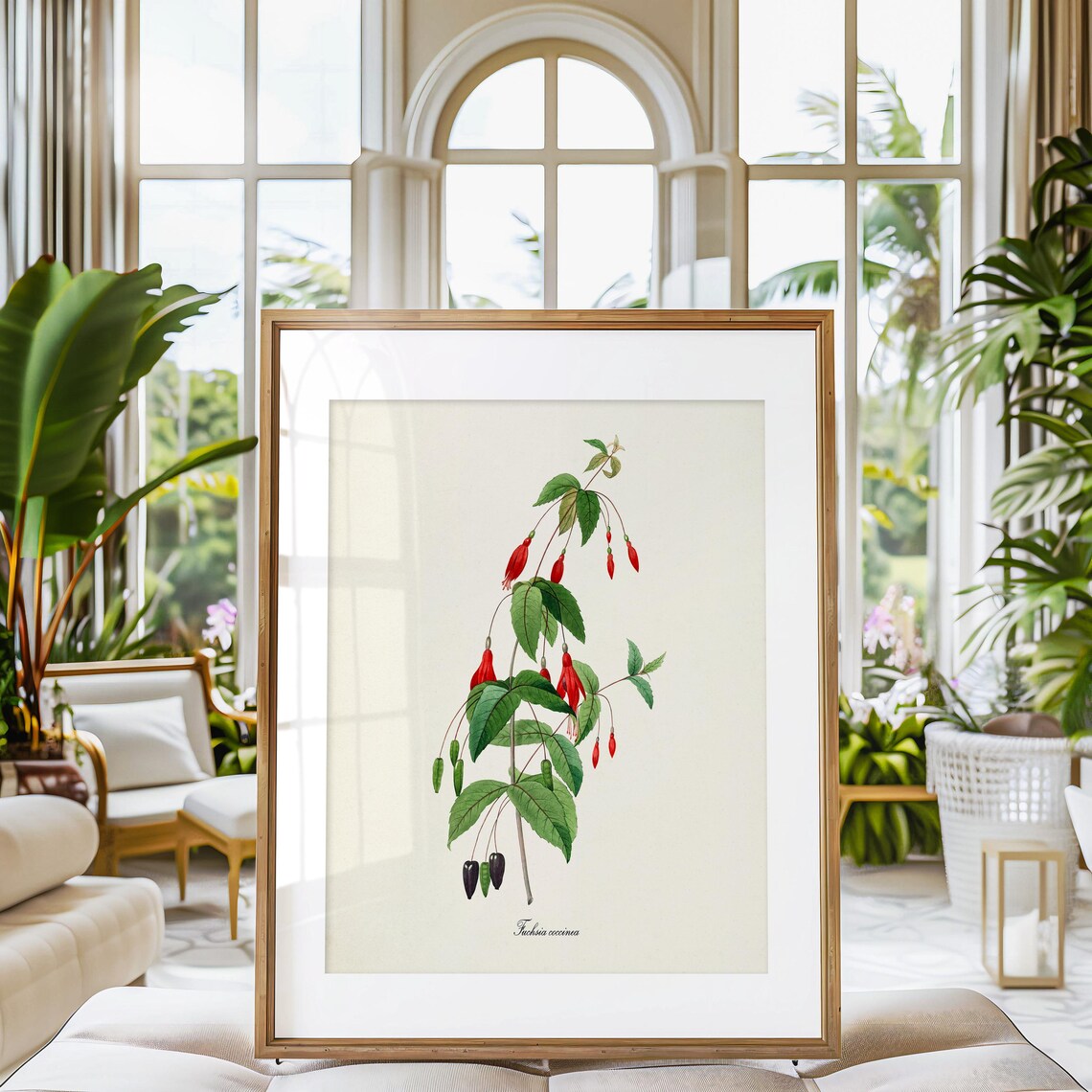 Scarlet Fuchsia Coccinea Botanical Flower Illustration Poster - Image 3