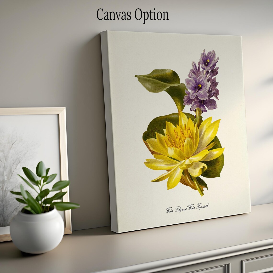 Water Lily And Water Hyacinth Botanical Art Print - Image 2