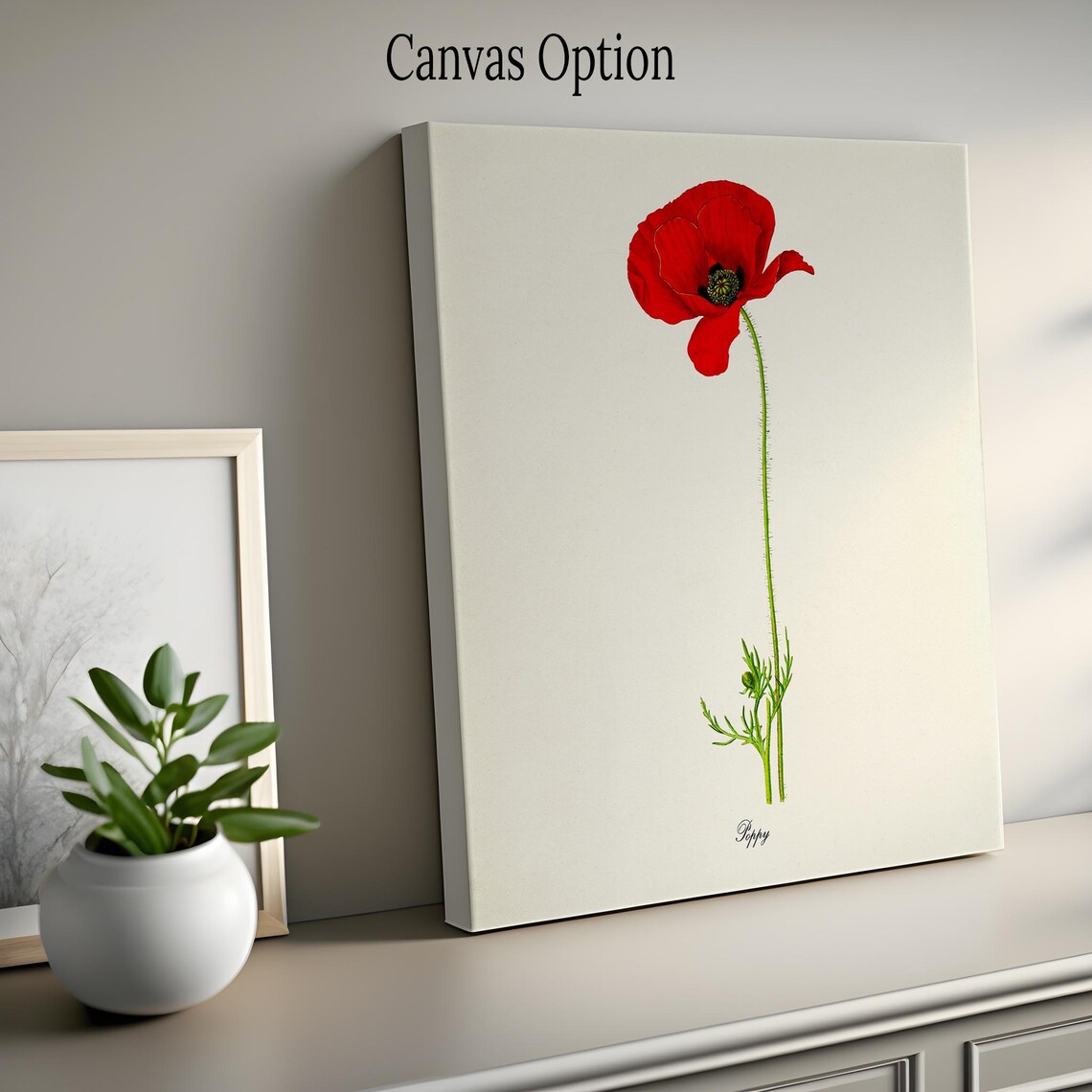 Poppy Flower Botanical Art Print, Floral Home Decor - Image 2