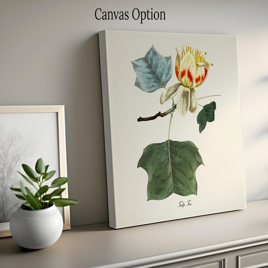 Tulip Tree Botanical Art Print, Floral Wall Art - Image 2