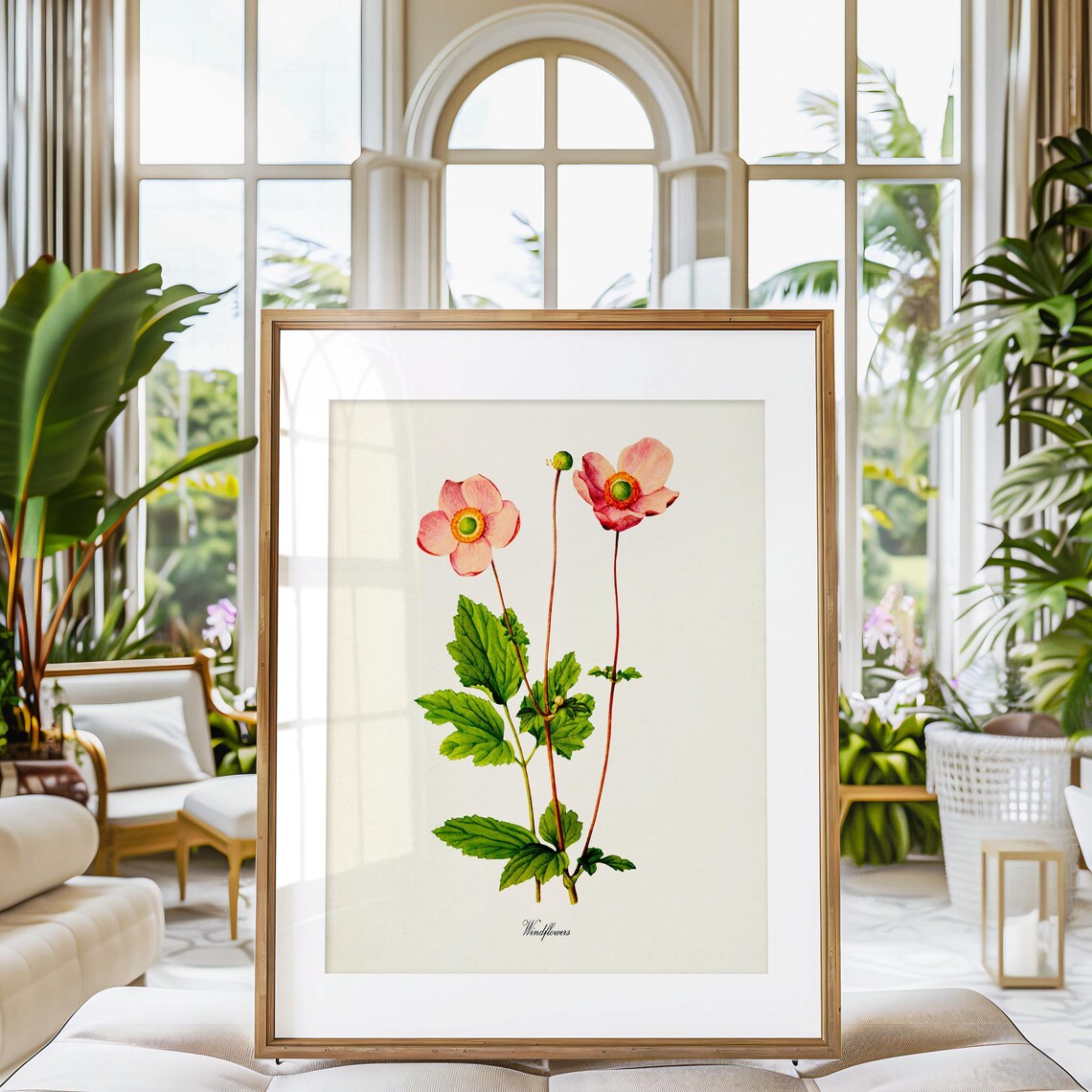 Windflowers Botanical Art Print, Pink Flower Wall Art - Image 3