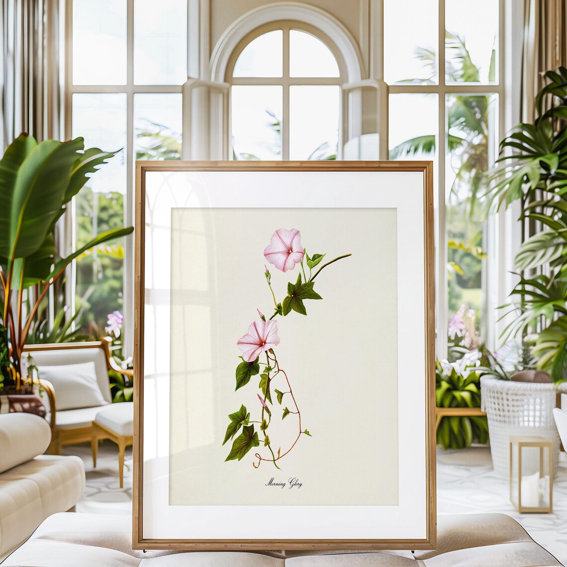 Morning Glory Flower Art Print, Pink Botanical Floral - Image 3
