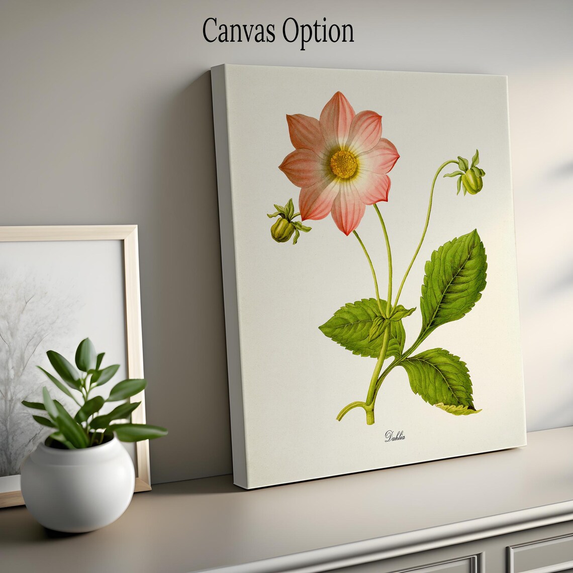 Dahlia Flower Botanical Art Print, Floral Wall Decor - Image 2