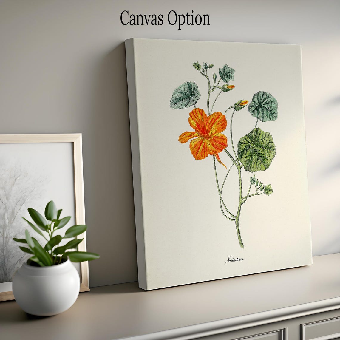 Vibrant Orange Nasturtium Bloom Round Leaf Vintage Botanical Poster - Image 2