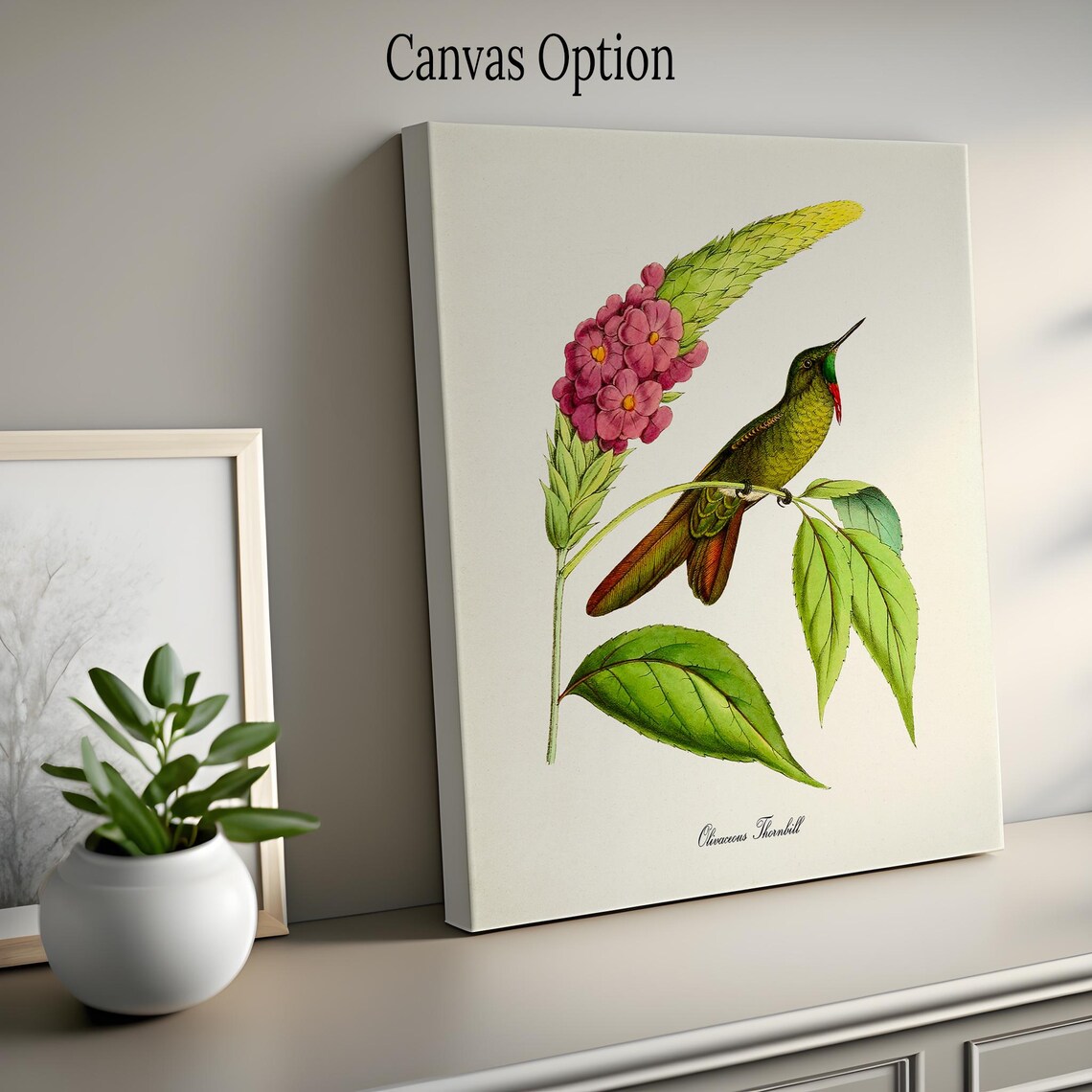Olivaceous Thornbill Hummingbird Pink Blooms Vintage Nature Poster - Image 2