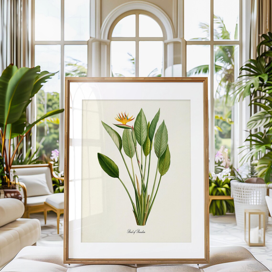 Bird Of Paradise Flower Botanical Art Print - Image 3