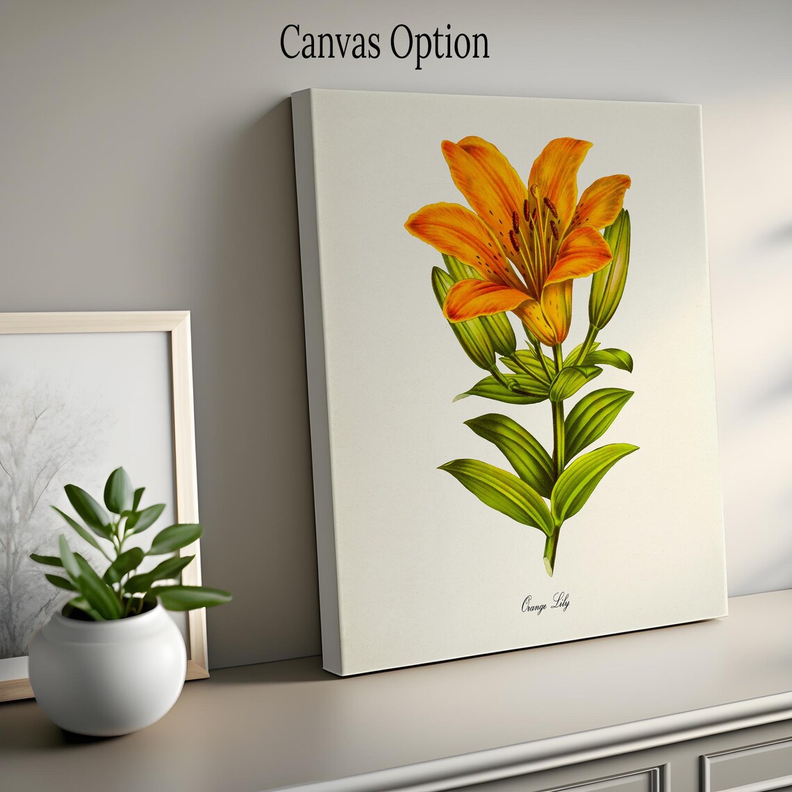 Orange Lily Botanical Flower Art Print for Home Decor - Image 2