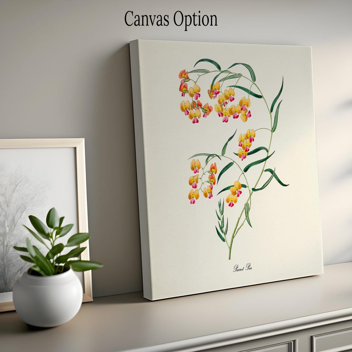 Parrot Pea Yellow and Pink Blossoms Vintage Botanical Study Poster - Image 2