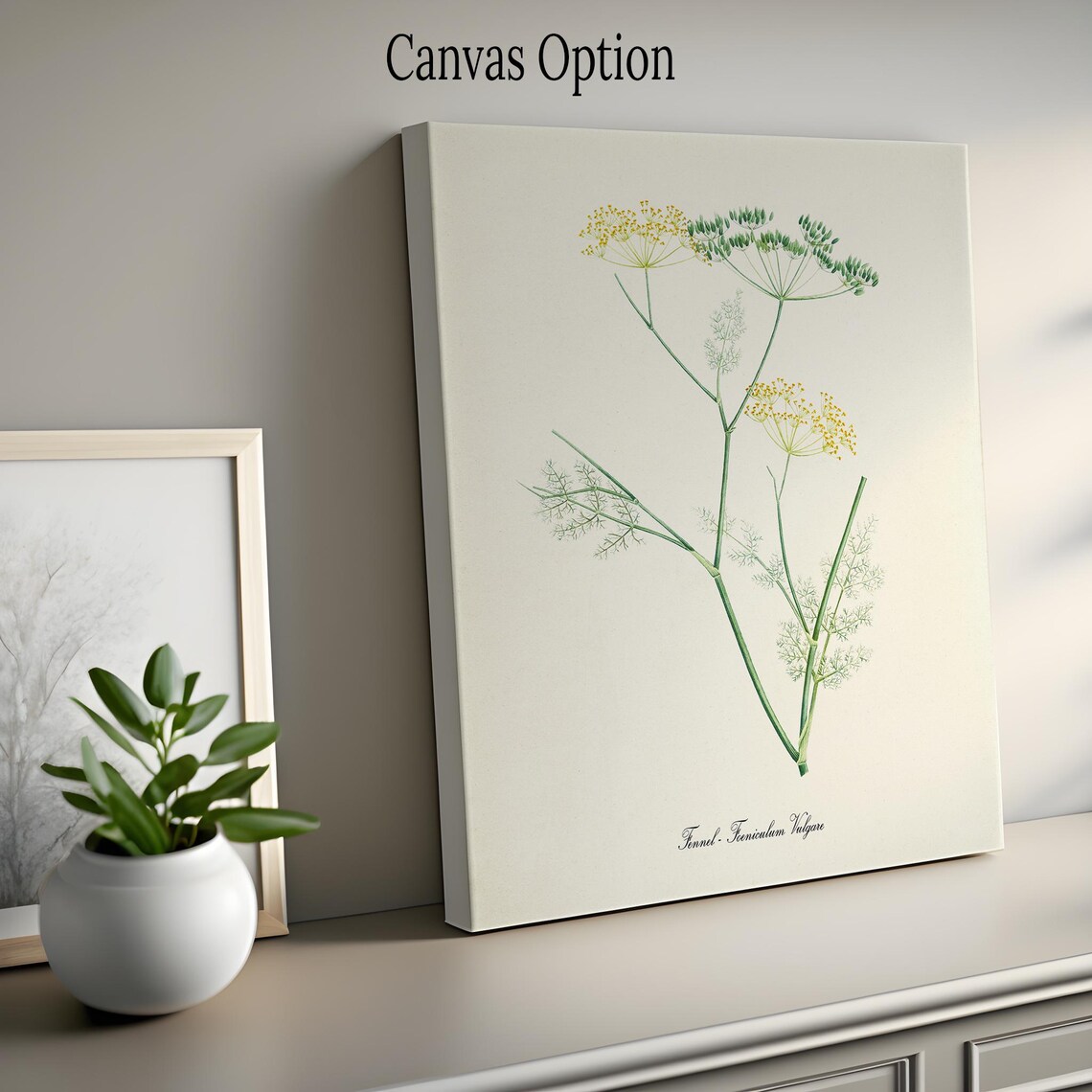 Fennel Botanical Art Print, Foeniculum Vulgare - Image 2
