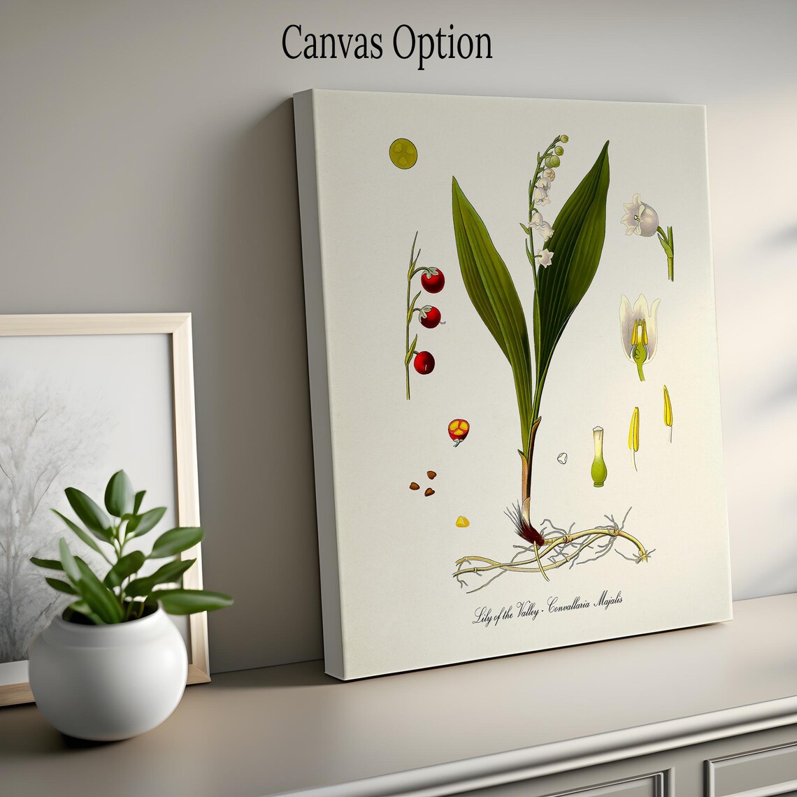 Lily Of The Valley Botanical Art Print, Medicinal Plant - Image 2