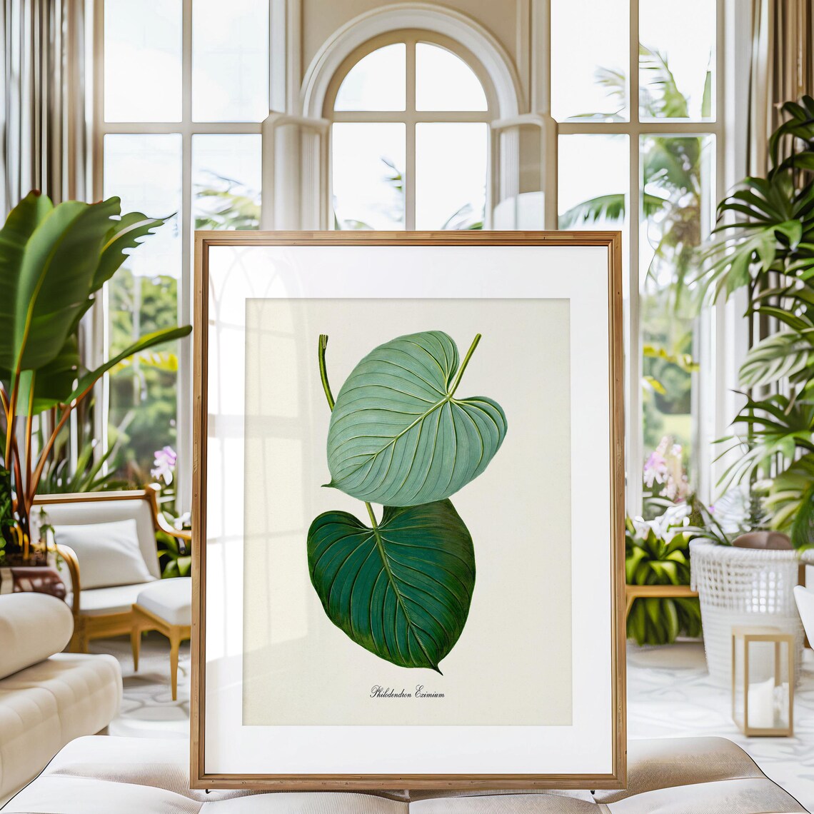 Philodendron Eximium Botanical Wall Art Print - Image 3
